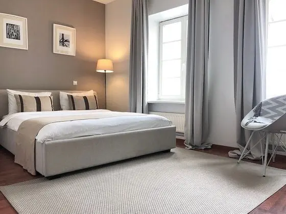 Exclusive One Bedroom Apartment Didzioji St.8