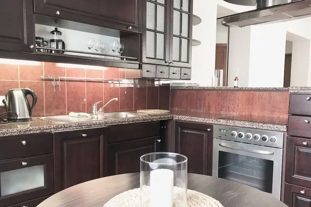 Exclusive One Bedroom Apartment Didzioji St.8