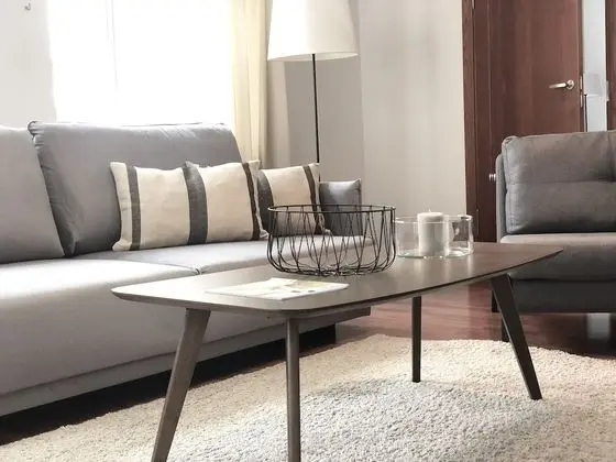 Exclusive One Bedroom Apartment Didzioji St.8