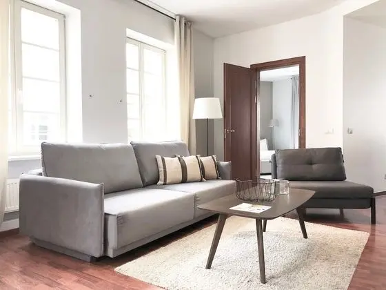 Exclusive One Bedroom Apartment Didzioji St.8