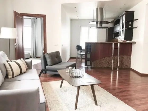 Exclusive One Bedroom Apartment Didzioji St.8