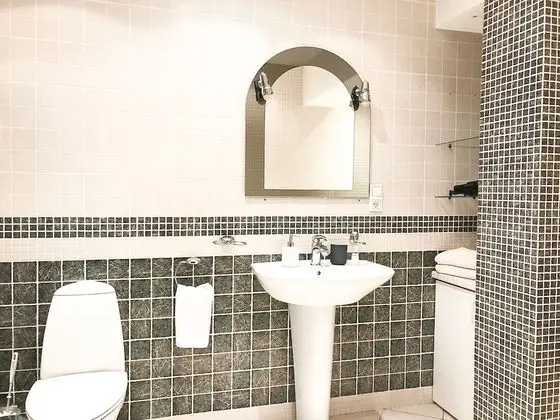 Exclusive One Bedroom Apartment Didzioji St.8
