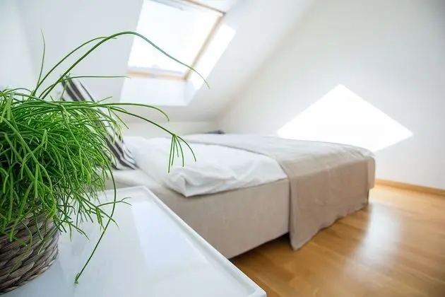 One Bedroom Apartment Mesiniu St.3a