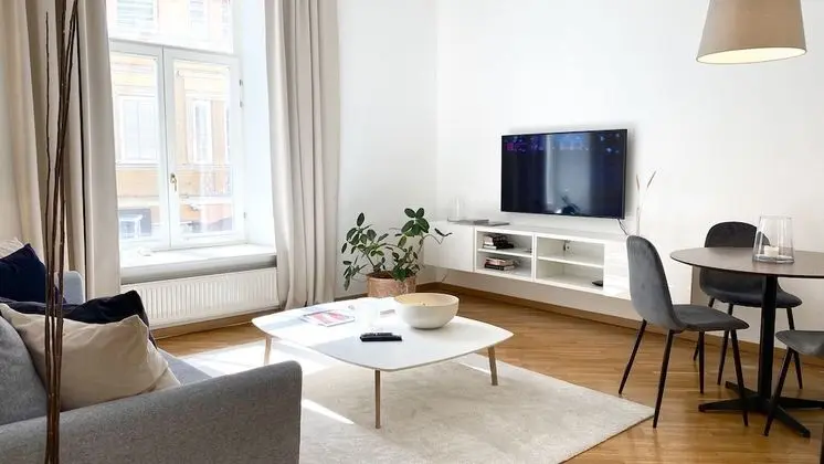 Deluxe 1 Bedroom Apartment, (Didzioji St. 39)