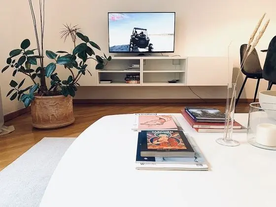 Deluxe 1 Bedroom Apartment, (Didzioji St. 39)