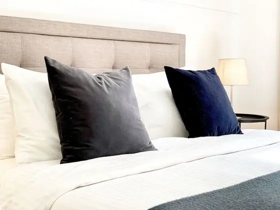 Deluxe 1 Bedroom Apartment, (Didzioji St. 39)