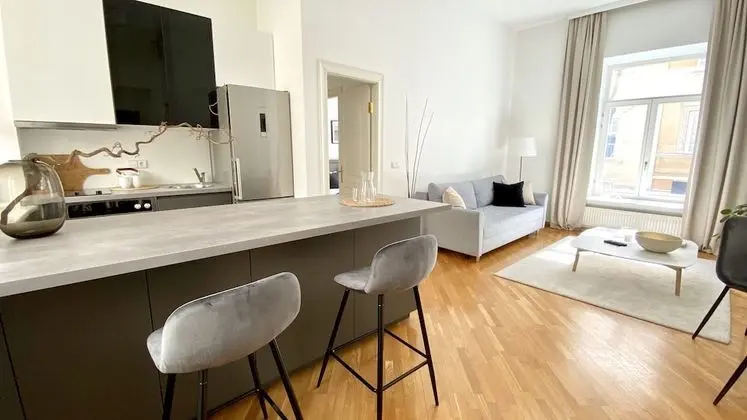 Deluxe 1 Bedroom Apartment, (Didzioji St. 39)