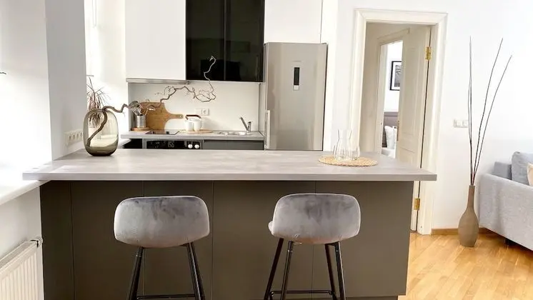 Deluxe 1 Bedroom Apartment, (Didzioji St. 39)