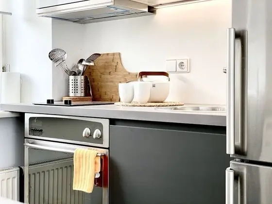 Deluxe 1 Bedroom Apartment, (Didzioji St. 39)