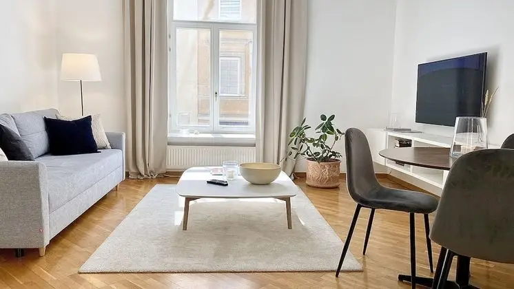 Deluxe 1 Bedroom Apartment, (Didzioji St. 39)