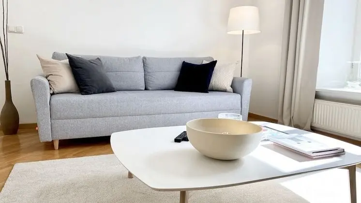 Deluxe 1 Bedroom Apartment, (Didzioji St. 39)