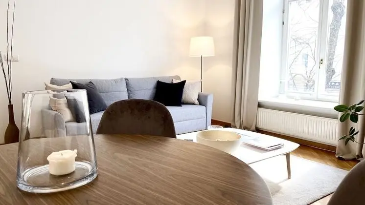 Deluxe 1 Bedroom Apartment, (Didzioji St. 39)