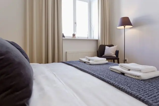 Luxury One Bedroom Apartment (Didzioji St. 39)