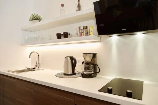 Luxury One Bedroom Apartment (Didzioji St. 39)