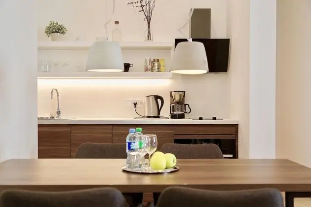 Luxury One Bedroom Apartment (Didzioji St. 39)
