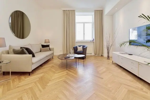 Luxury One Bedroom Apartment (Didzioji St. 39)