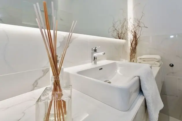 Luxury One Bedroom Apartment (Didzioji St. 39)