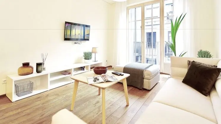 Superior 1 Bedroom Apartment with Balcony (Subaciaus St. 19)