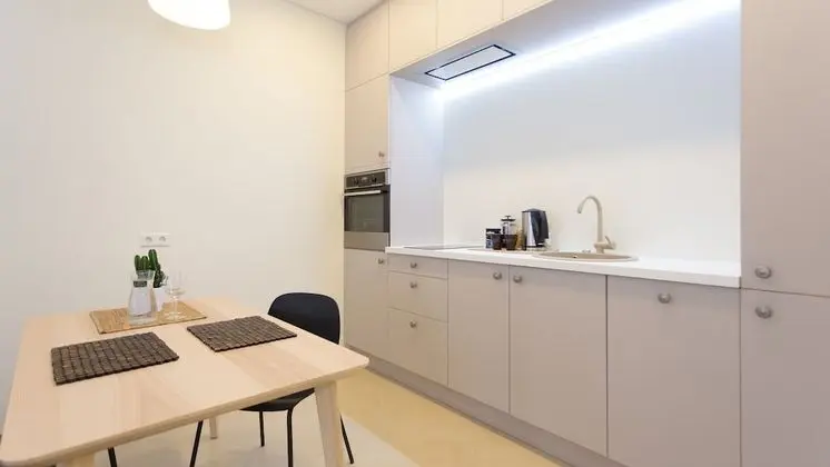 Superior 1 Bedroom Apartment with Balcony (Subaciaus St. 19)