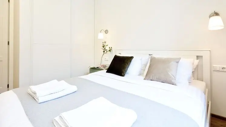 Superior 1 Bedroom Apartment with Balcony (Subaciaus St. 19)
