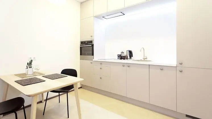 Superior 1 Bedroom Apartment with Balcony (Subaciaus St. 19)
