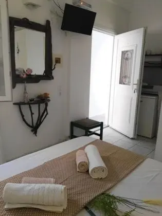 Basic Tek Büyük Yataklı Oda (Lemonia 1)