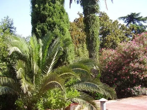 Tek Büyük veya İki Ayrı Yataklı Oda, Bahçe Manzaralı