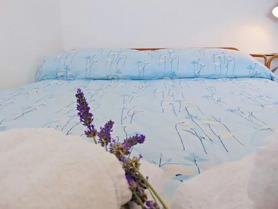 Apart Daire (Vin - excellent location and close to)