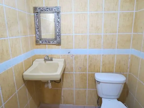 Standard Kulübe