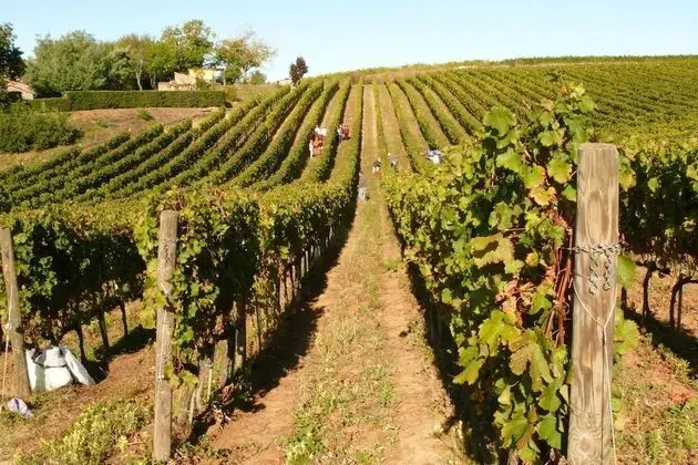 Ev, Sigara İçilebilir