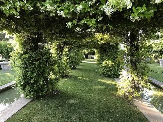 Ev, Sigara İçilebilir