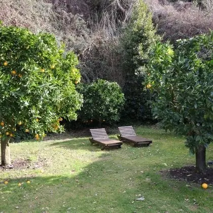 Ev, Sigara İçilebilir