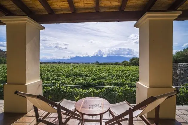 Standard Room, 1 Bedroom, Vineyard View