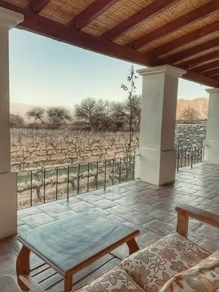 Standard Room, 1 Bedroom, Vineyard View