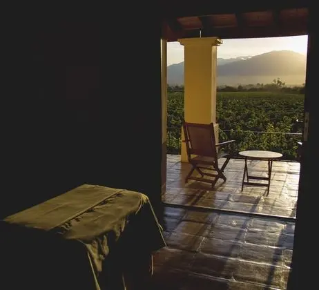 Standard Room, 1 Bedroom, Vineyard View