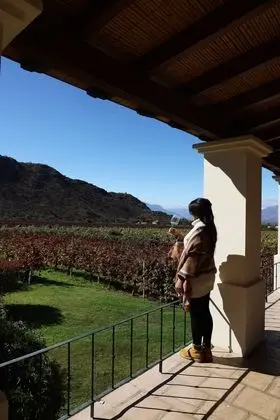 Standard Room, 1 Bedroom, Vineyard View