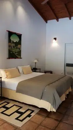 Standard Room, Mountain View