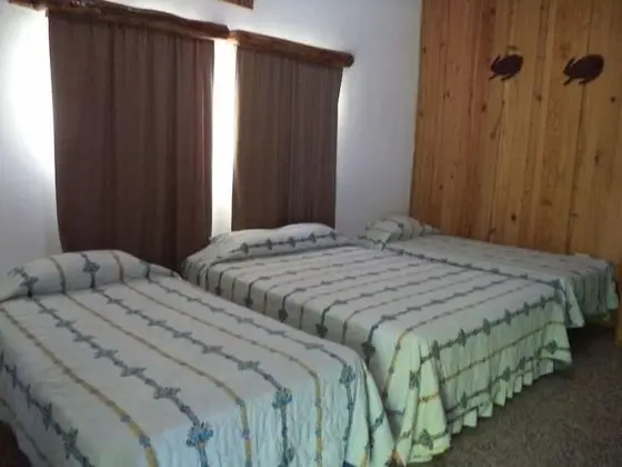 Dört Kişilik Oda, Birden Çok Yatak
