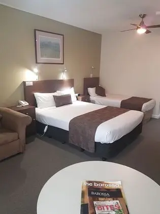 Executive Oda (Vine Inn Executive Queen Room)