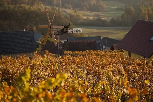 Ev, 2 Yatak Odası, Teras