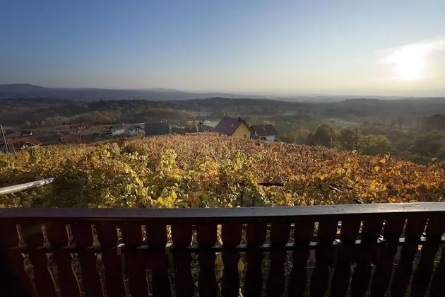 Ev, 2 Yatak Odası, Teras