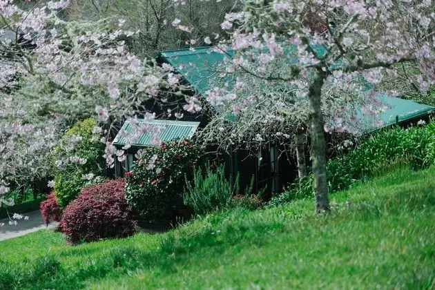 Romantic Kır Evi