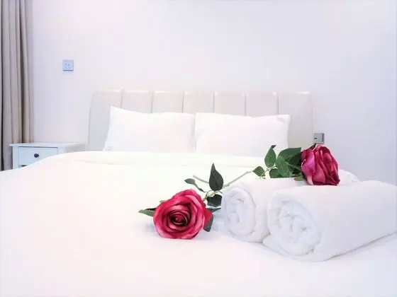 Deluxe Apart Daire, 1 Yatak Odası, Balkon, Şehir Manzaralı