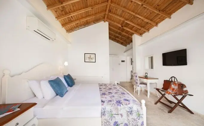 Executive Suite, Bahçe Manzaralı