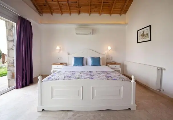 Executive Suite, Bahçe Manzaralı