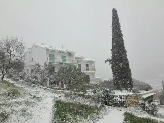 Apart Daire (Vinko - 80 m from beach - A2(4+2))