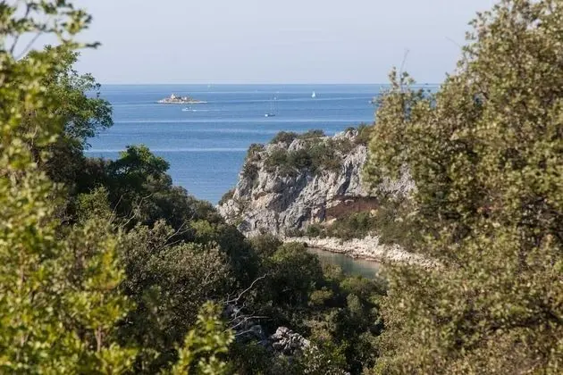 Ev (Villa Vinko - with four rooms - H(8))