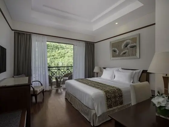 Deluxe Tek Büyük Yataklı Oda