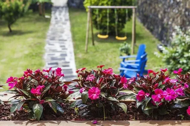 Ev, 2 Yatak Odası, Teras
