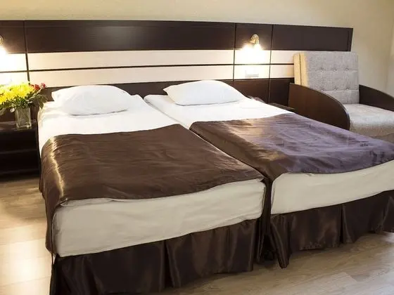 Standard Tek Büyük veya İki Ayrı Yataklı Oda